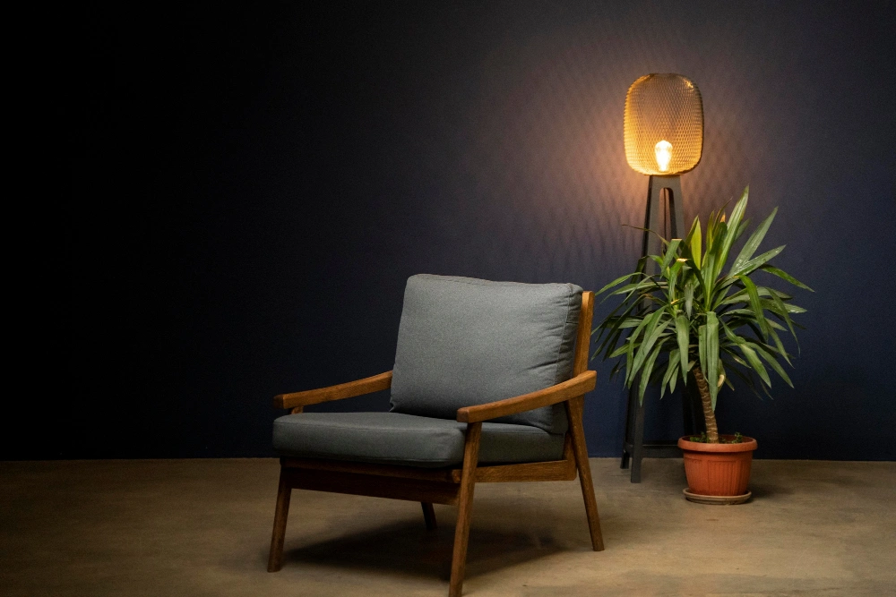 Luxury home furniture design
